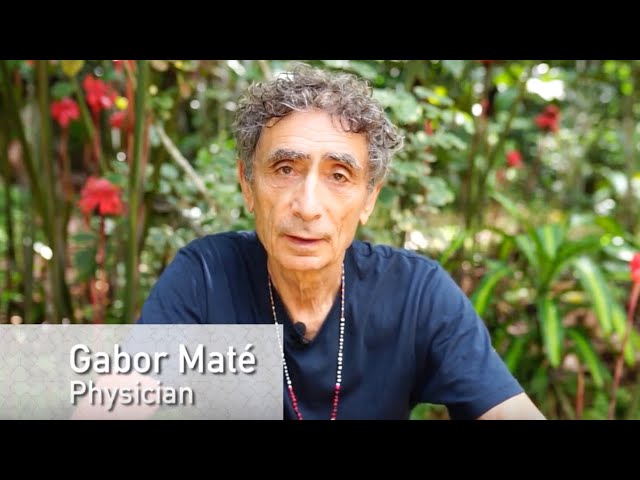 Dr. Gabor Maté  - Ayahuasca Healing at the Temple of the Way of Light - Review Highlights