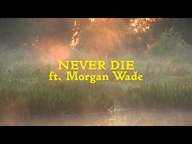 Never Die (feat. Morgan Wade) [Official Lyric Video]
