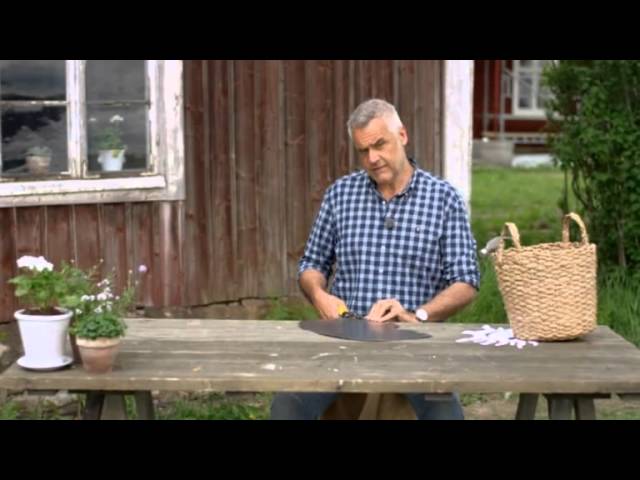 Ernst gör en trädgårdsskulptur till kökslandet - Sommar med Ernst (TV4)