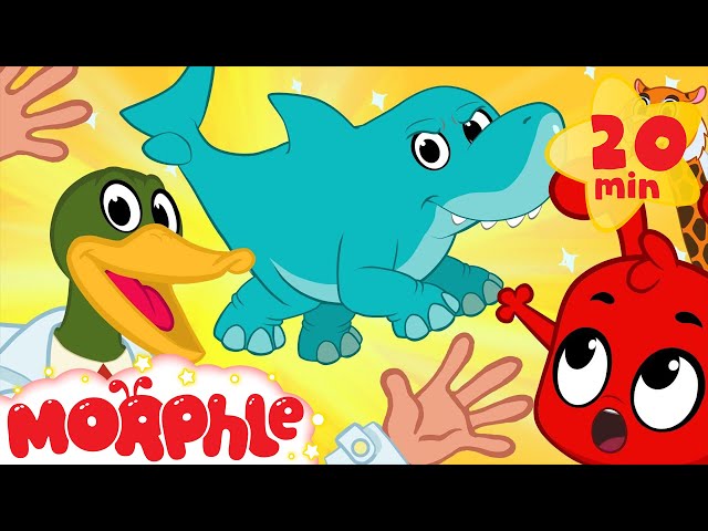 Super Hero Morphle's Crazy Animal Mixer! Shark Mixed with Elephant, Lion + cat and more Kids Video