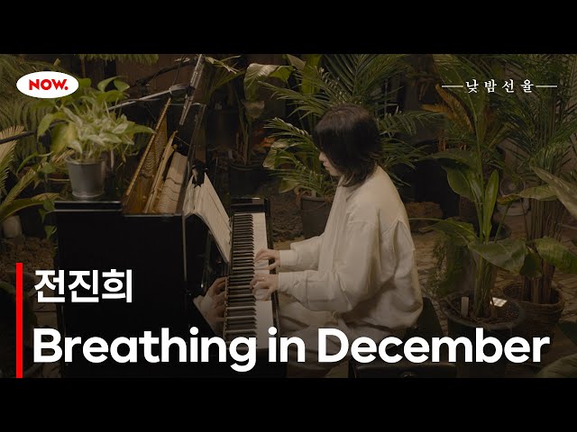 작곡가 전진희의 'Breathing in December' 🎵 NOW.에서 24시간 온에어 [낮밤선율]ㅣ네이버 NOW.