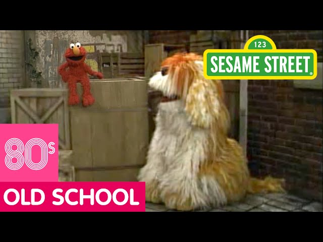 Sesame Street: Count Backwards with Elmo and Barkley