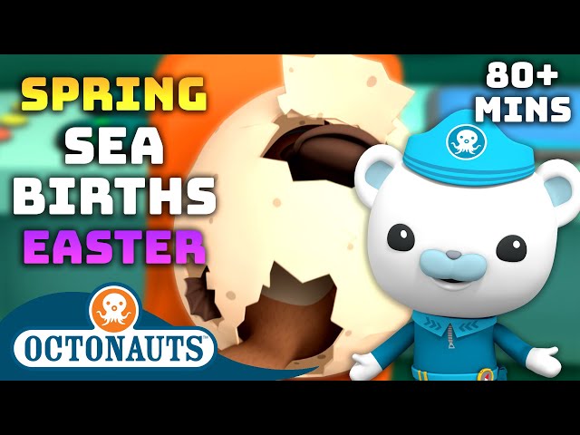 #Easter @Octonauts - Spring Sea Births 🥚 | 80 Mins+ | Cartoons for Kids | Underwater Sea Education