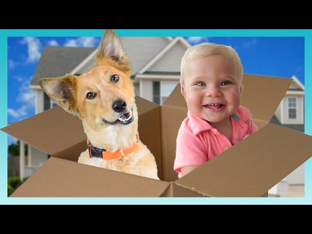 MOVING DAY! | Look Who's Vlogging: Daily Bumps
