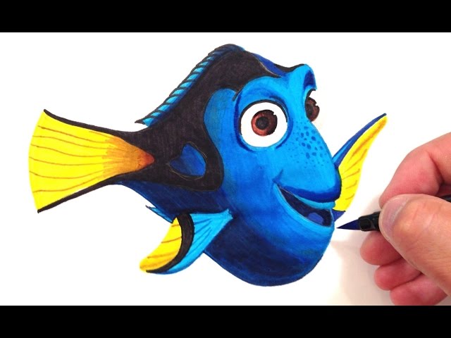 How to Draw Finding Dory