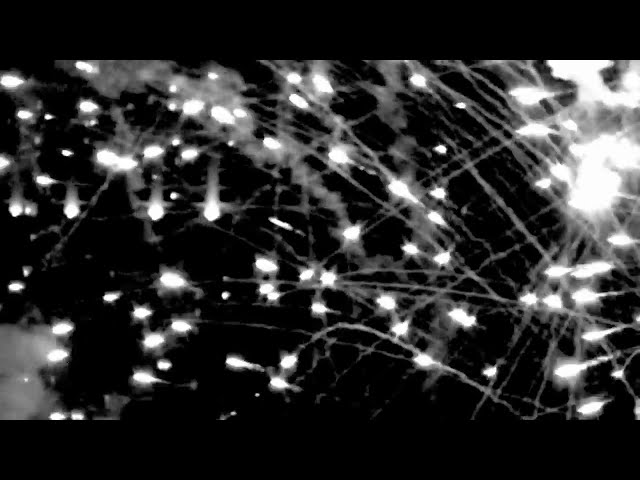 Signal To Noise (Instrumental) - Peter Gabriel
