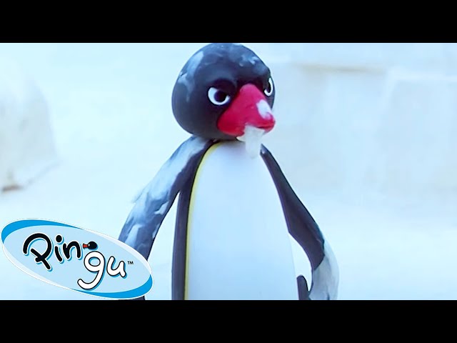 The BIG Prank! 🐧 | Pingu - Official Channel | Cartoons For Kids