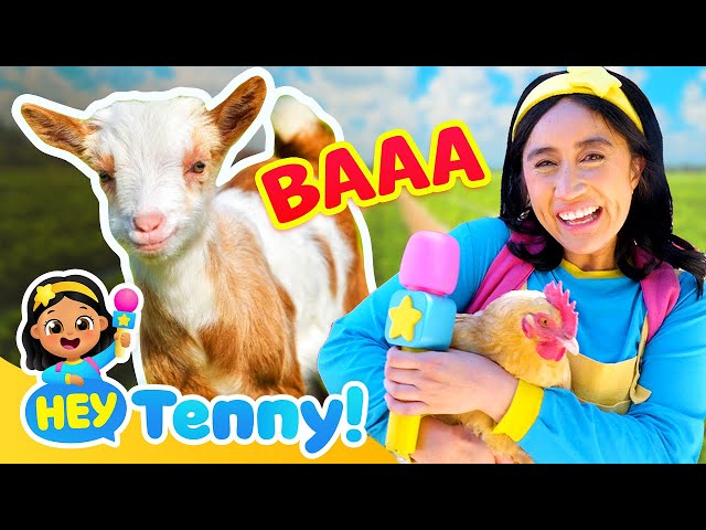 Meet Tenny's Animal Friends! | Farm Animals | Educational Videos for Kids | Hey Tenny!