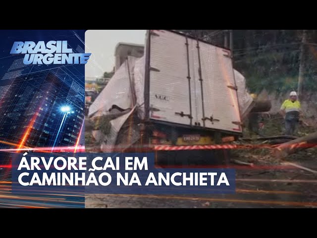 Árvore cai em caminhão na Anchieta, em SP | Brasil Urgente