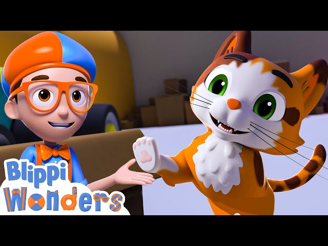 Blippi Wonders - Blippi Meets a Calico Cat! | Blippi Animated Series | Blippi Toys