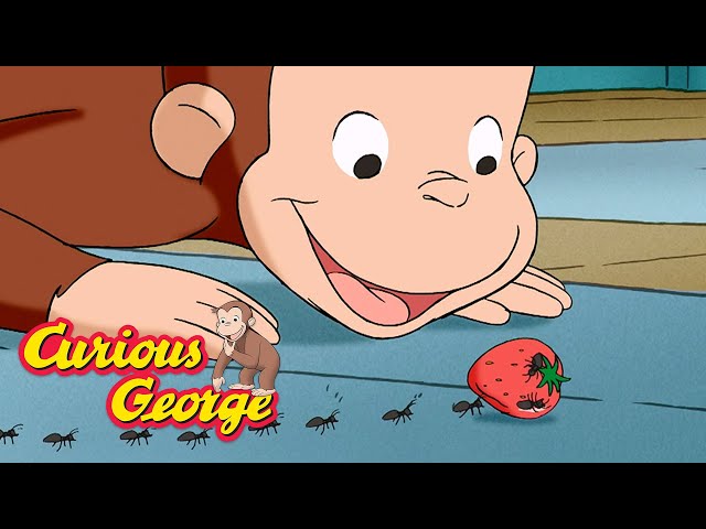 Curious George 🐵 George makes a mess 🐵  Kids Cartoon 🐵  Kids Movies 🐵 Videos for Kids