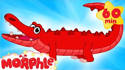 Original Morphle Episodes | Vehicles, Animals and more | Mila and Morphle | Cartoons for Kids | Morphle TV