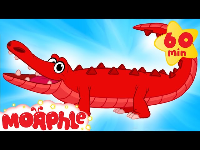 My Pet Crocodile - (Learn About Real & Pretend) + 1 hour My Magic Pet Morphle compilation for kids!