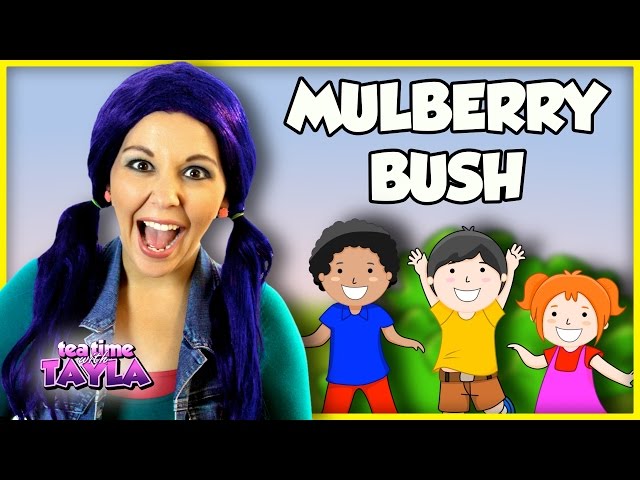 Here We Go Round the Mulberry Bush | Nursery Rhyme and Kids Song for Children on Tea Time with Tayla