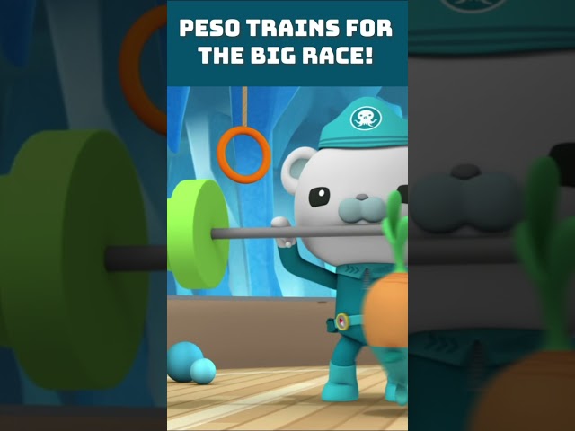 🐧 Peso trains for the big race! 🏅 | #shorts #octonauts #penguinrace