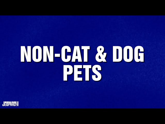 Non-Cat & Dog Pets | Category | JEOPARDY!