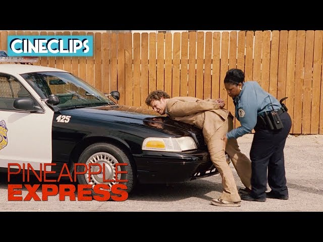 Dale Gets Arrested | Pineapple Express | CineClips