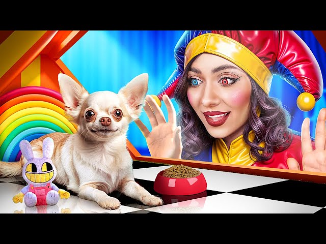 The Amazing Digital Circus Room for My Puppy! Pomni Saved a Dog