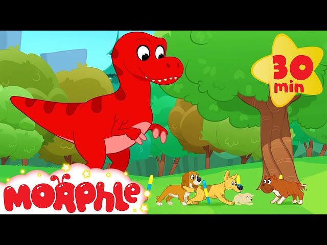 Dinosaur Dog Race  - Mila and Morphle | Cartoons for Kids | Morphle