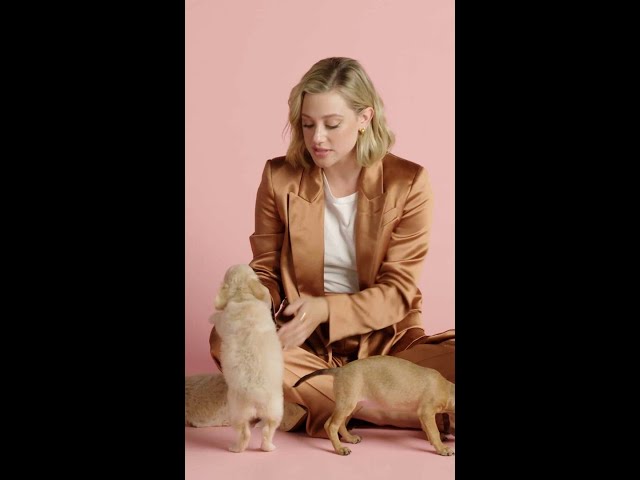 The puppies have great taste. | Lili Reinhart Plays With Puppies