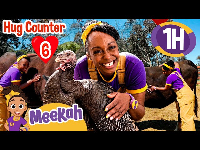 How Many Animals Can Meekah Hug? | Educational Videos for Kids | Blippi and Meekah Kids TV