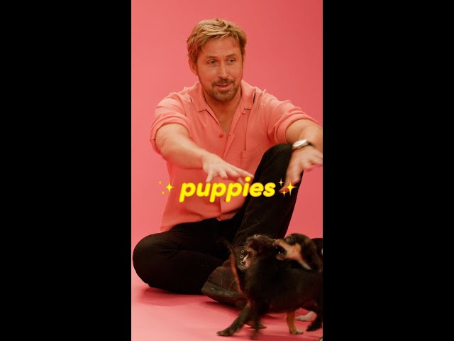 Margot Robbie went on a Young Hercules rabbit hole 😆 #RyanGosling #barbie #puppyinterview