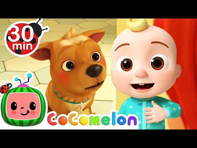 My Dog Song - Bingo | CoComelon Furry Friends | Animals for Kids