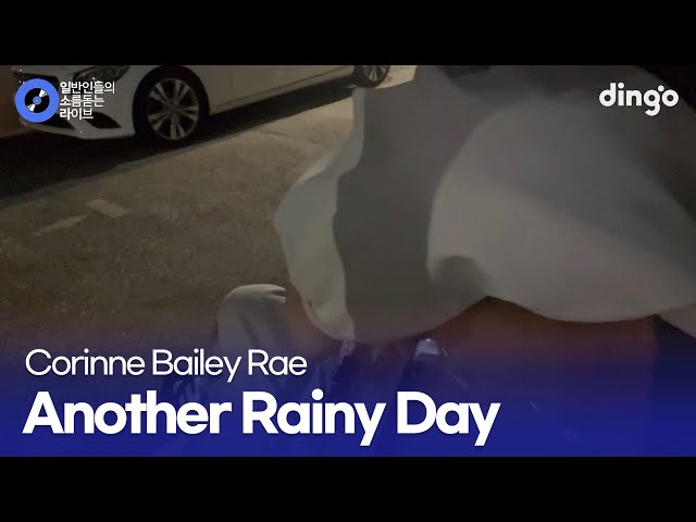비 오는 여름밤 감성 충전이 필요할 때 Another rainy day (Corinne Bailey Rae) cover