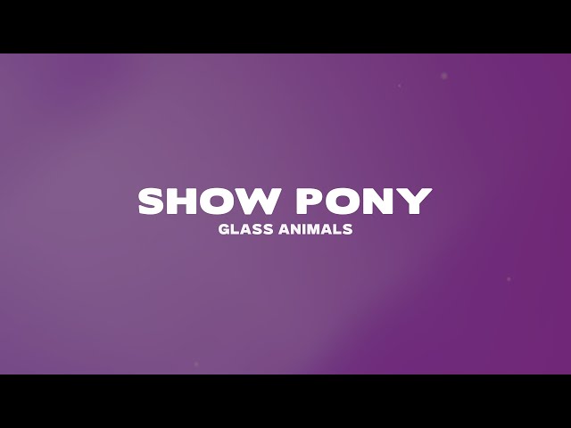Glass Animals - Show Pony (Lyrics)