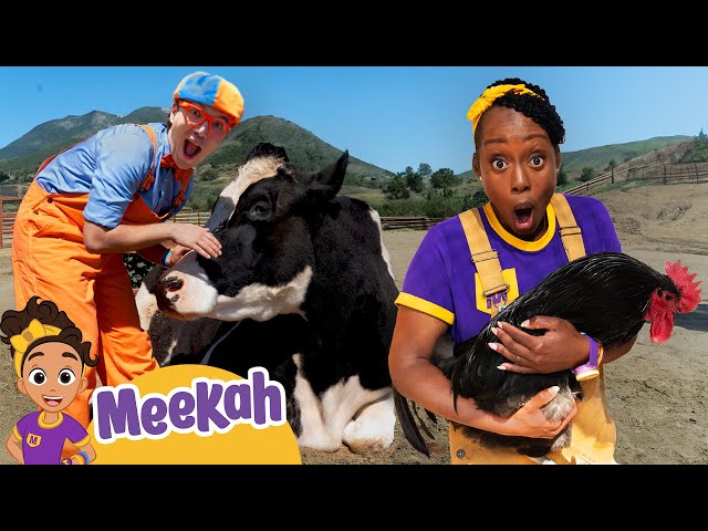 Blippi and Meekah Feed BIG and SMALL Animal Friends! | Educational Videos for Kids | Blippi & Meekah