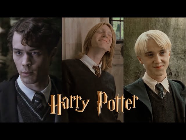 Harry Potter TikTok that made Harry join the big boys