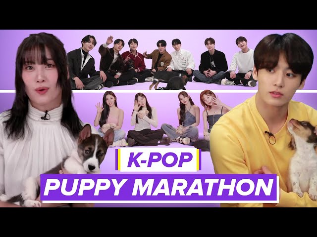 Every K-Pop Group Doing The Puppy Interview!