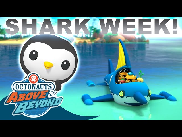 Octonauts: Above & Beyond - 🦈😱 Shark Fever | SHARK WEEK 🦈😱 Compilation | @Octonauts​