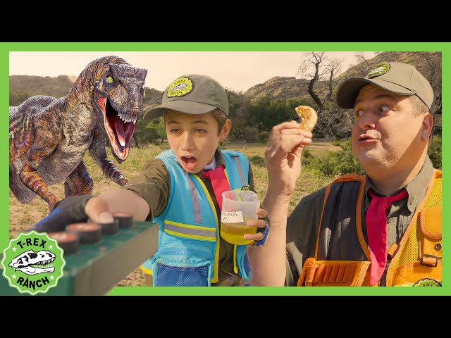 Park Ranger Turns Into A Dinosaur?! + MORE! | T-Rex Ranch Dinosaur Videos for Kids