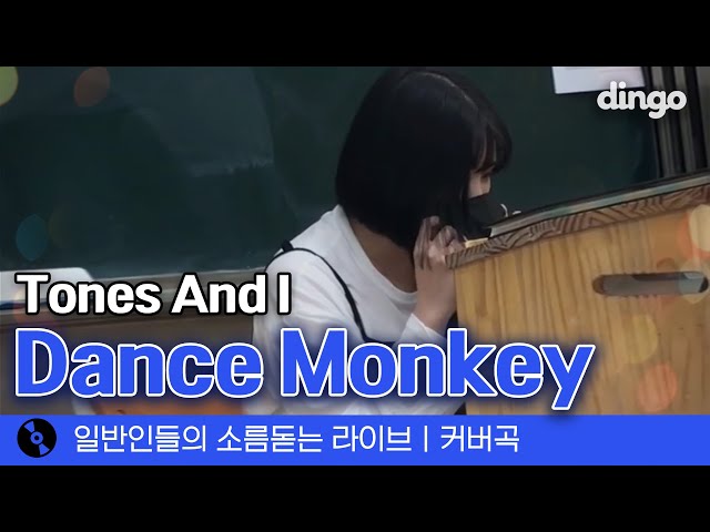 이번엔 통합 사회 시간에 부른 'Dance monkey' (Tones And I) cover