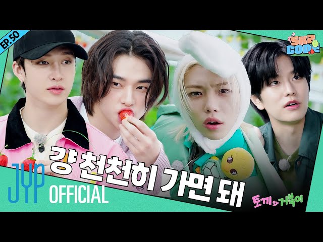 토끼와 거북이 (The Tortoise and the Hare) #2｜[SKZ CODE] Ep.50