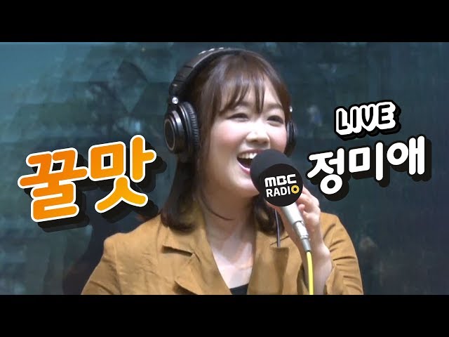 [LIVE] 정미애 - 꿀맛 / 정선희 문천식의 지금은 라디오 시대