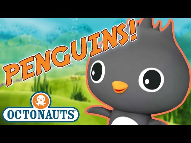Octonauts - Learn about Penguins | Cartoons for Kids | Underwater Sea Education