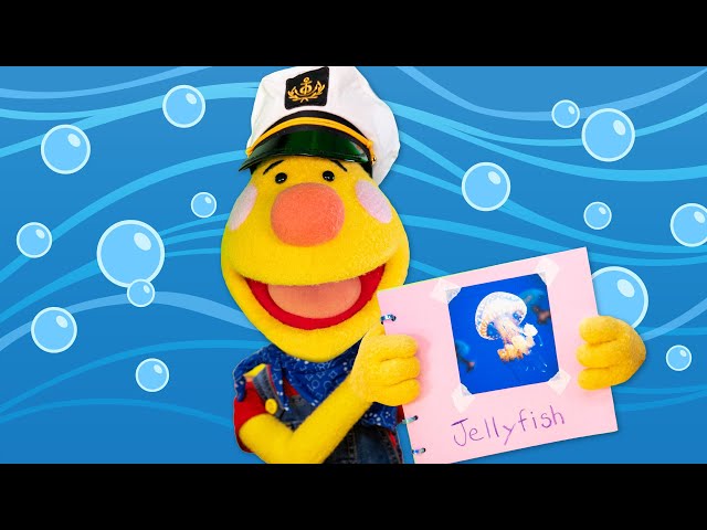 A Sailor Went To Sea | Sing Along With Tobee