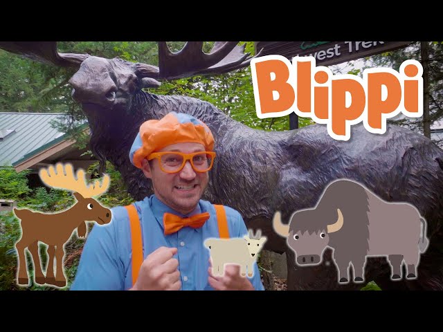 Blippi Visits the Wildlife Park - Learn About Animals | Educational Videos For Kids