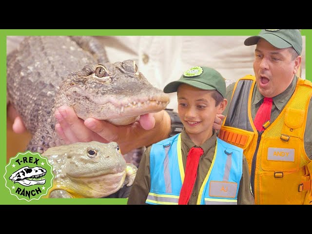 NEW! Reptile Zoo | T-Rex Ranch Dinosaur Videos