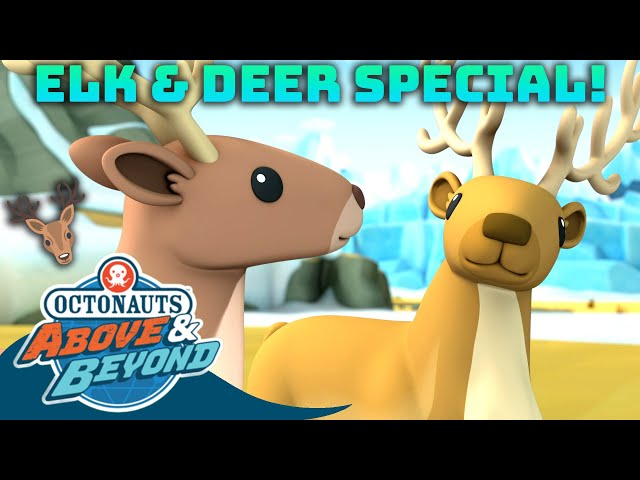 Octonauts: Above & Beyond - Elk & Deer Special! 🦌 | Compilation | @Octonauts​