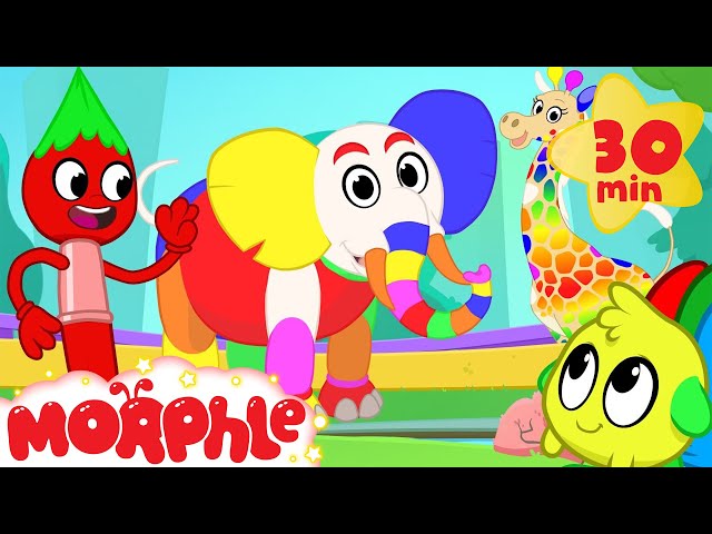 Magic Colors! Morphle The Paint Brush Colors the world! Learn color video for kids!