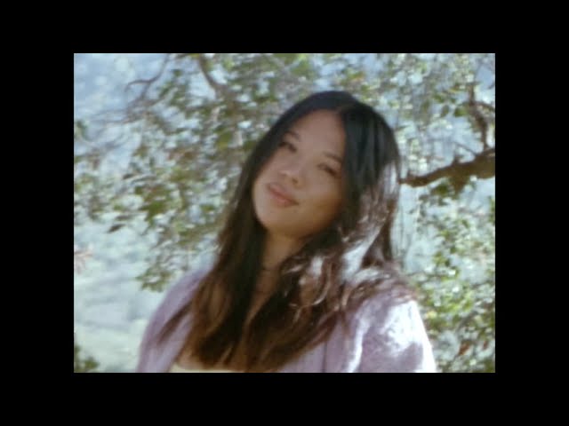 thuy - universe [sped up] (official visualizer)