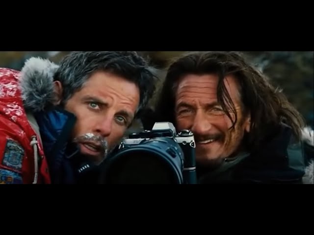 The Secret Life of Walter Mitty | Beautiful things don't ask for attention | Ghost Cat