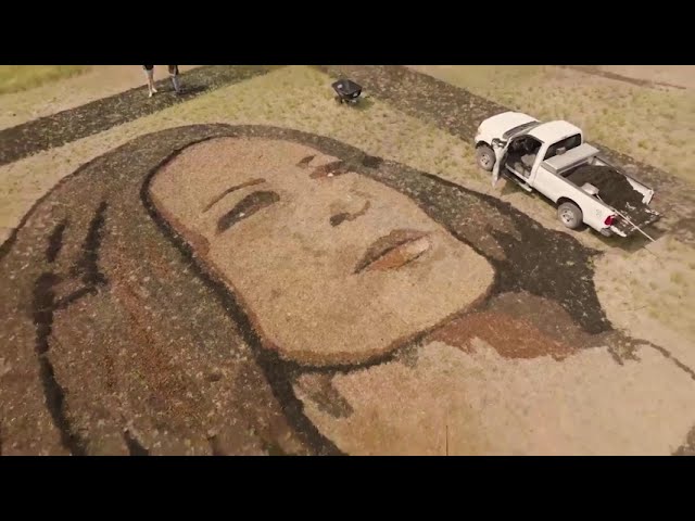 Artist Transforms Kansas Field Into Massive Portrait of Kamala Harris