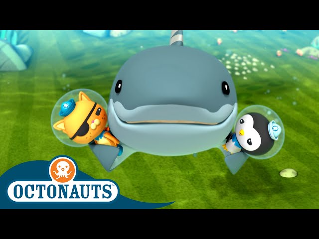 @Octonauts - The Great White Shark 🦈 | Series 2 | Full Episode 3 | Cartoons for Kids