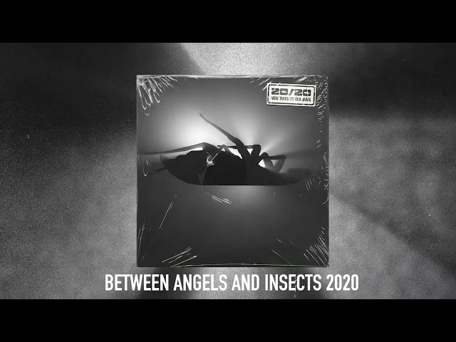 Papa Roach - Between Angels and Insects 2020 (Official Audio)