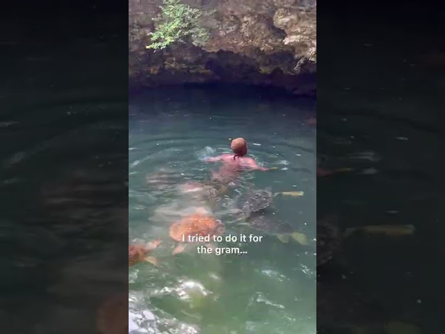 Woman Terrified As She Swims with Sea Turtles in Zanzibar