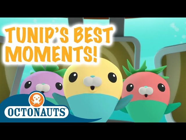 Octonauts Summer Special! - Tunip's Best Moments | Cartoons for Kids
